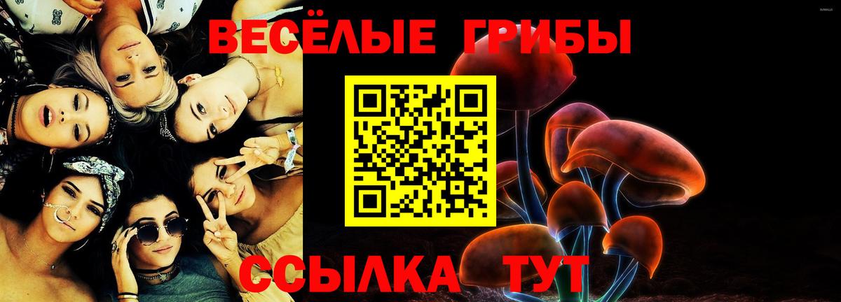 Псилоцибиновые грибы Psilocybine cubensis Санкт-Петербург